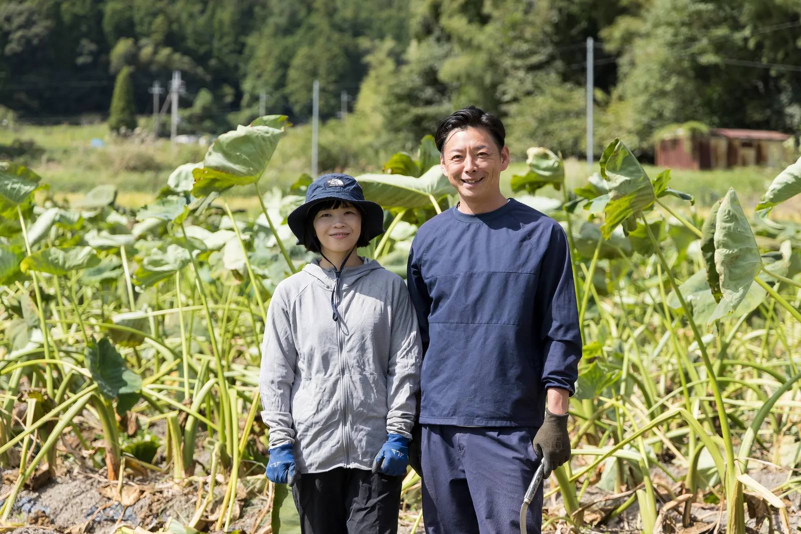 里芋畑に立つ藤本夫妻